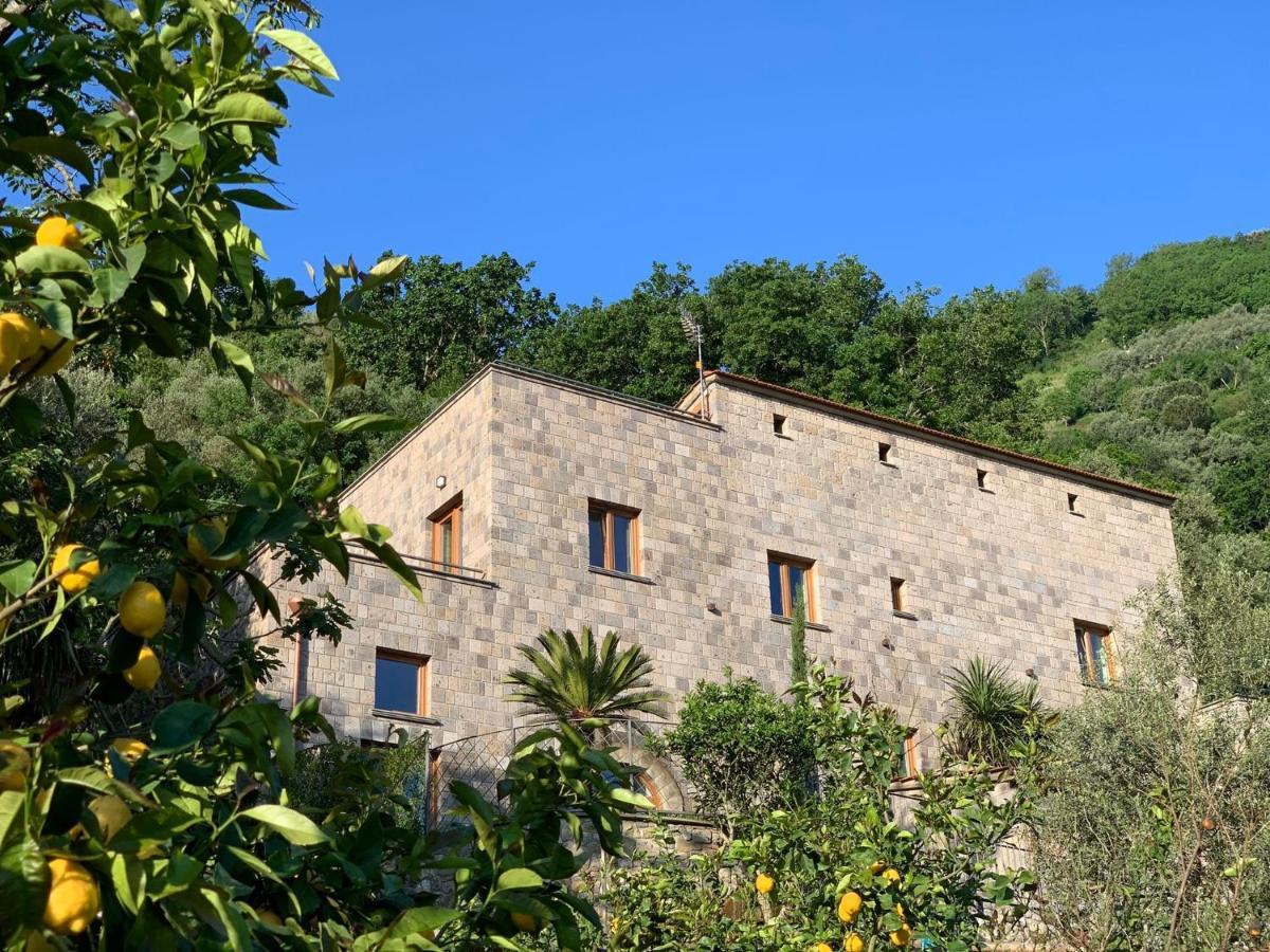 Holidays Homes The Dream Sant’Agnello Kültér fotó