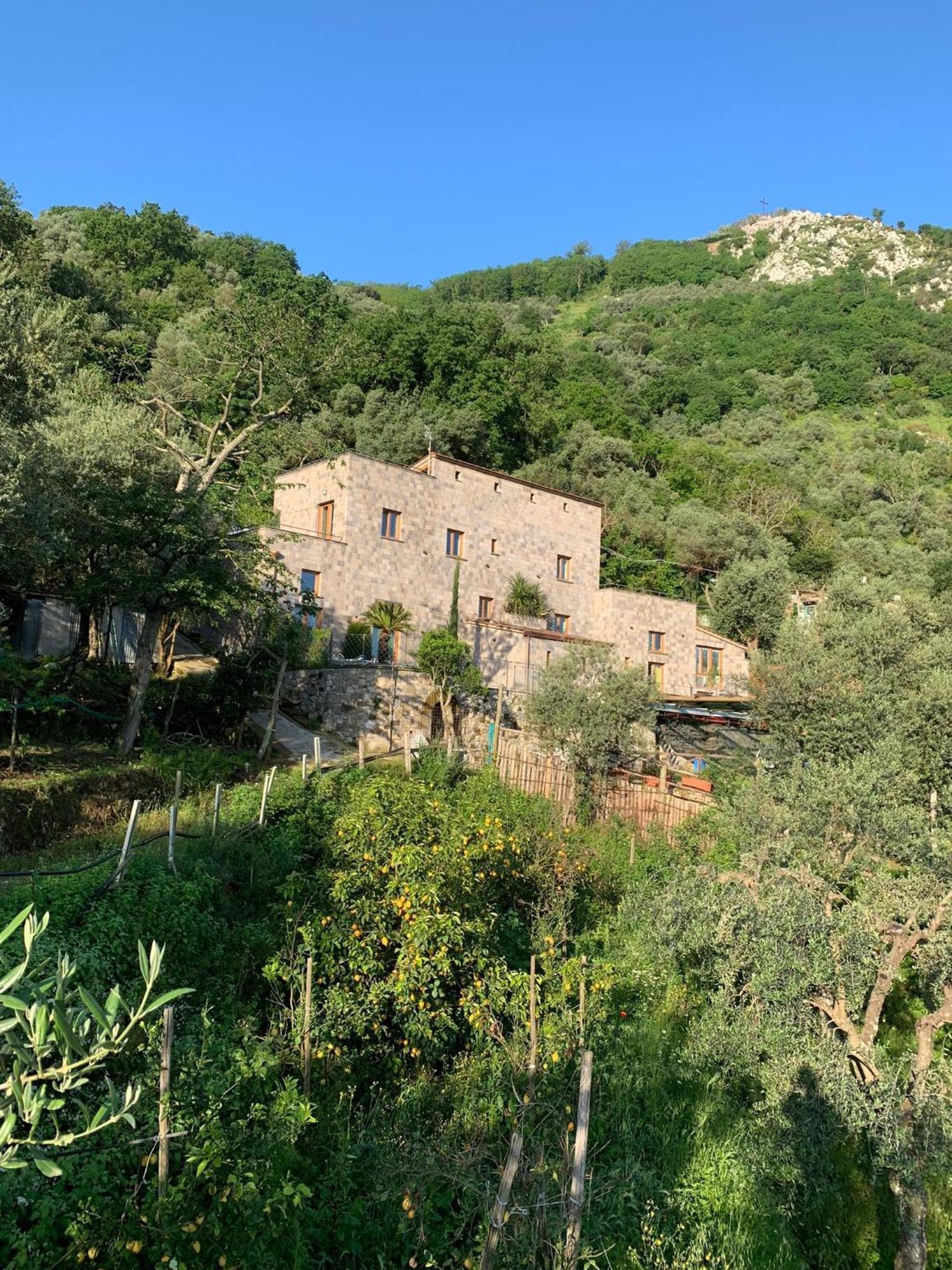Holidays Homes The Dream Sant’Agnello Kültér fotó