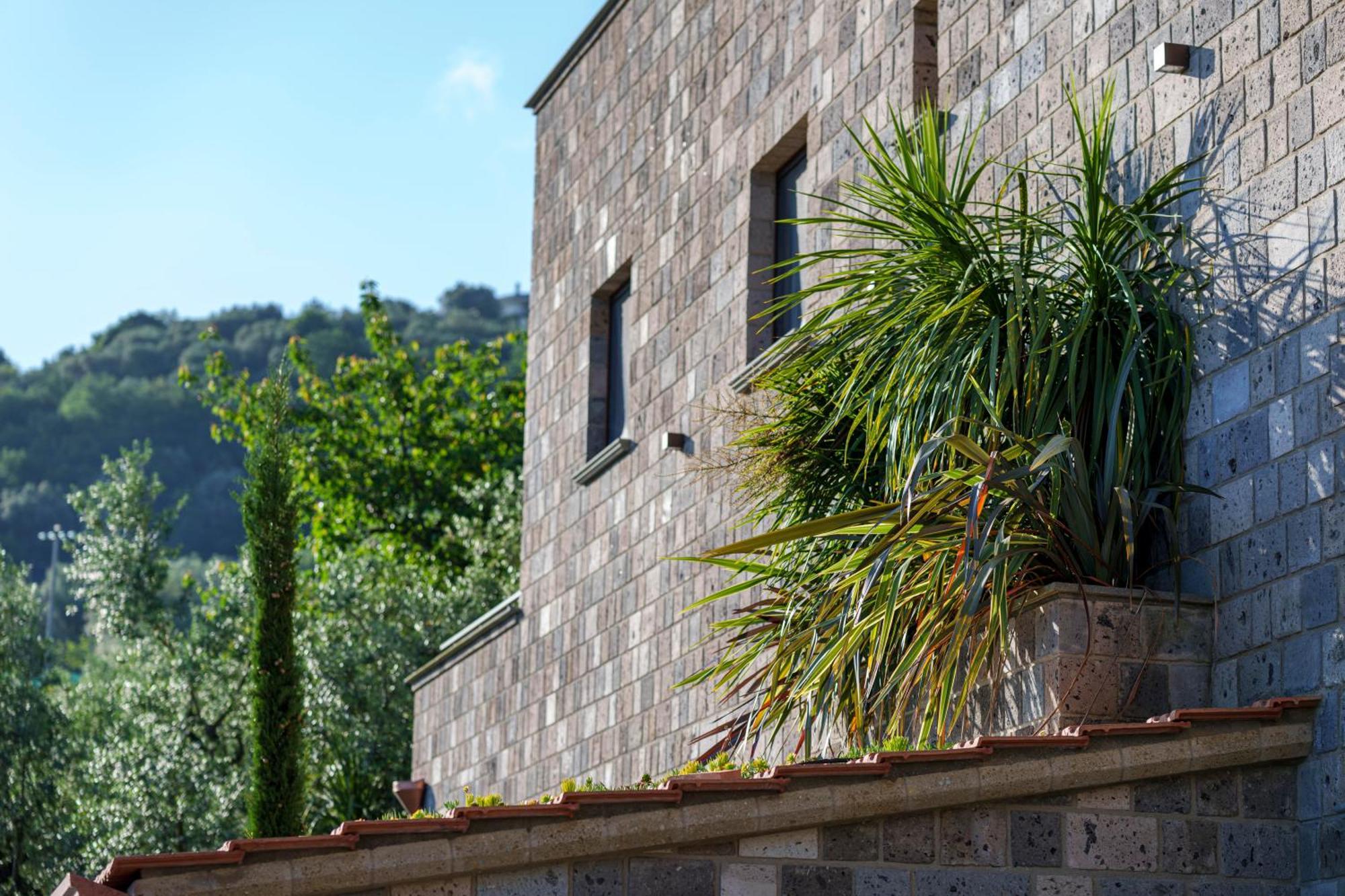Holidays Homes The Dream Sant’Agnello Kültér fotó
